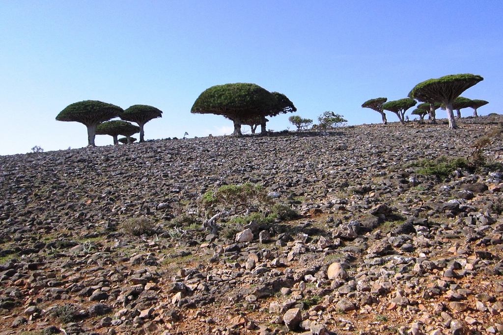 30 endroits incroyables qui semblent être d'une autre planète 30 endroits incroyables qui semblent etre d une autre planete 11 30-endroits-incroyables-qui-semblent-etre-d-une-autre-planete-11