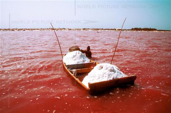 30 endroits incroyables qui semblent être d'une autre planète 30 endroits incroyables qui semblent etre d une autre planete 24 Senegal Lake Retba