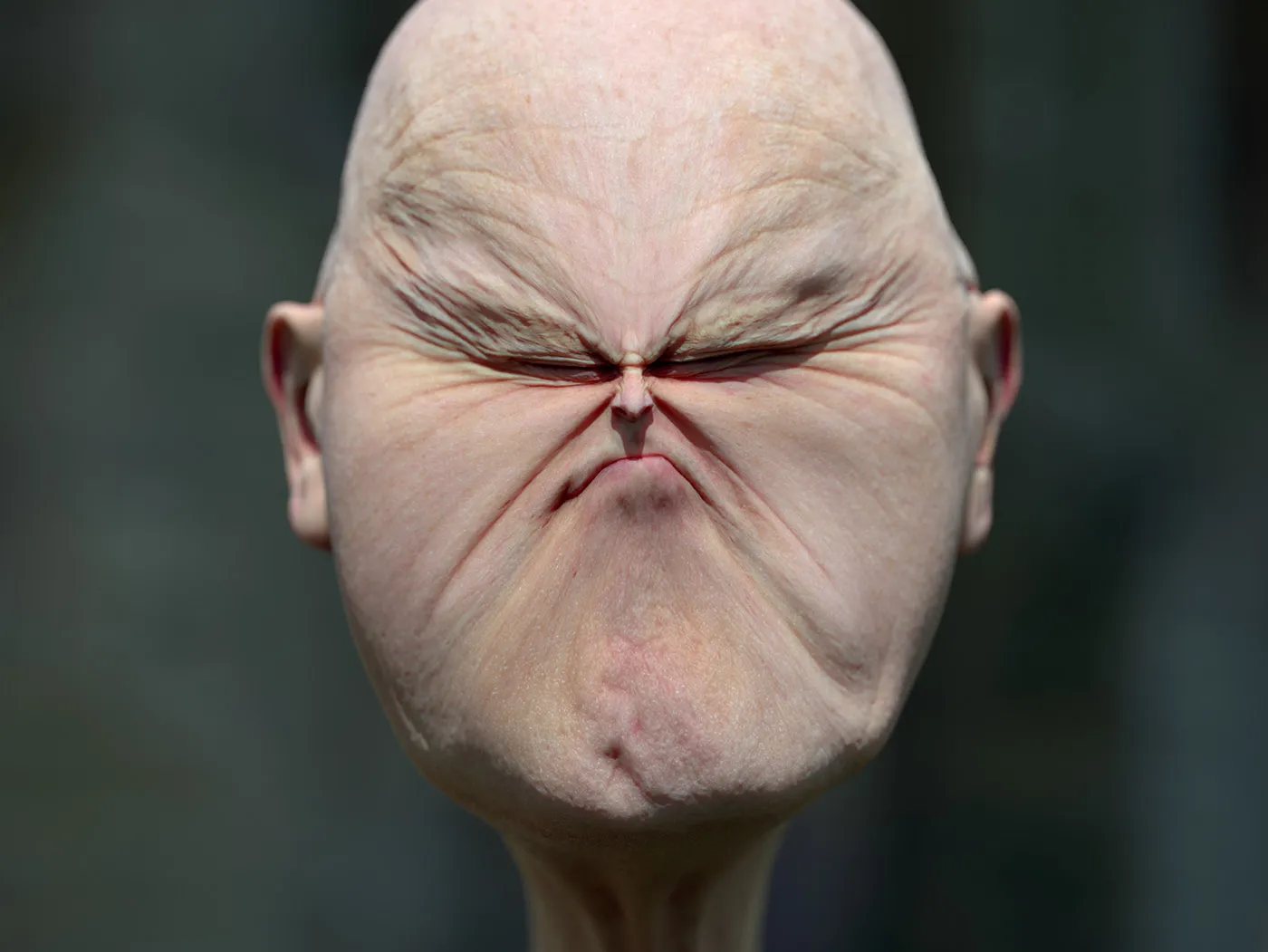 Les portraits déformés de Lee Griggs Caricatures des caricatures de portraits par Lee Griggs 14 Caricatures-des-caricatures-de-portraits-par-Lee-Griggs-14