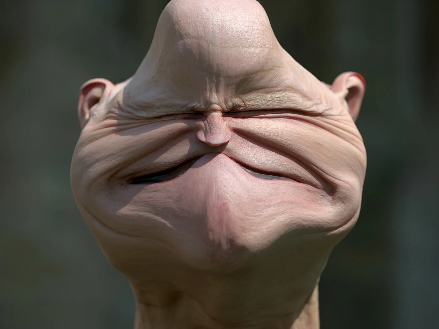 Les portraits déformés de Lee Griggs Caricatures des caricatures de portraits par Lee Griggs 7 Caricatures-des-caricatures-de-portraits-par-Lee-Griggs-7