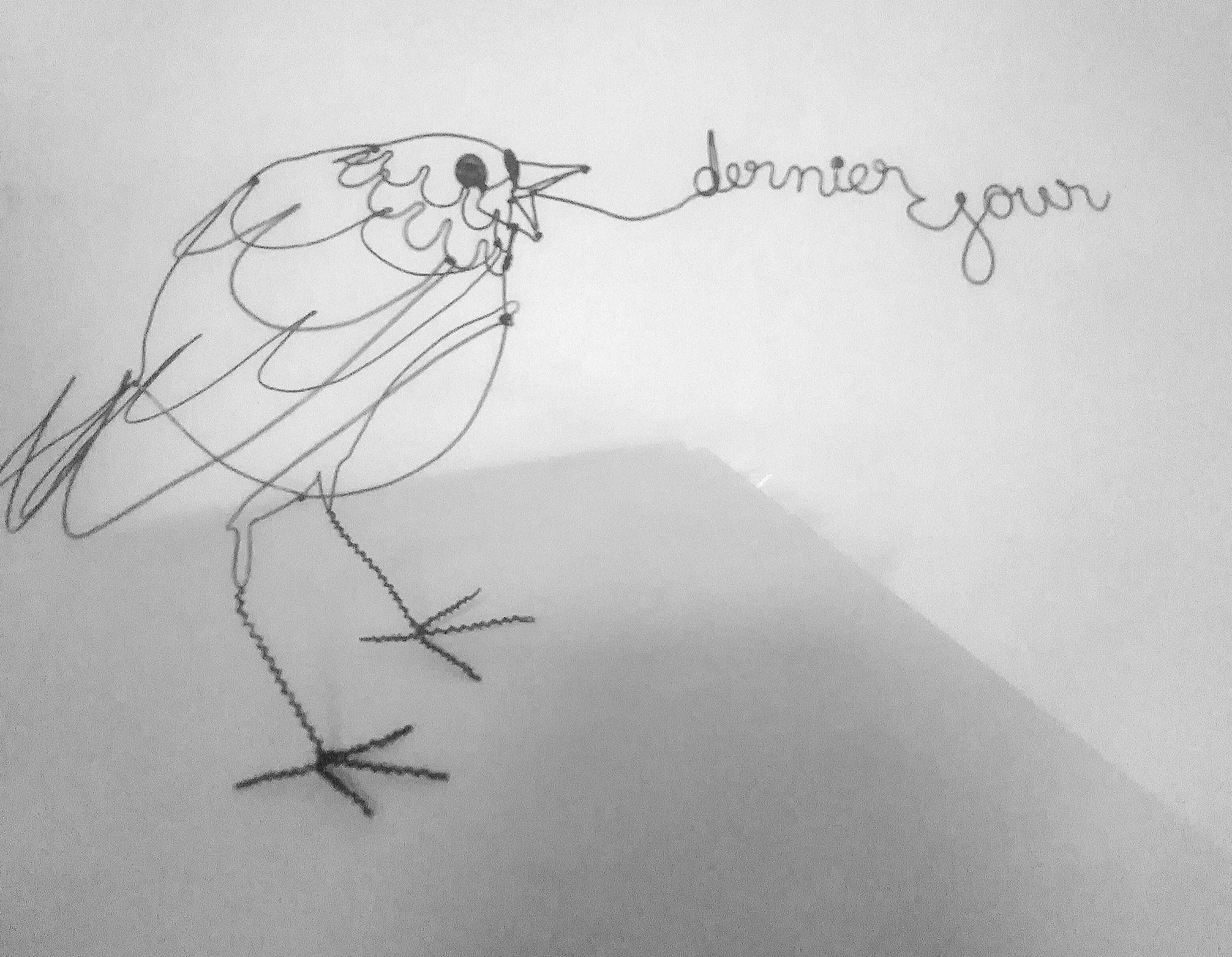 Les sculptures de fils de fer de Mickael Delalande Les sculptures de fils de fer de Mickael Delalande 10 Les-sculptures-de-fils-de-fer-de-Mickael-Delalande-10