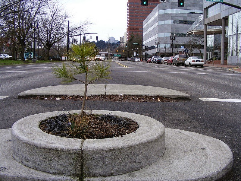 Mills End Park, le plus petit parc du monde Mills End Park le plus petit parc du monde 3 Mills-End-Park-le-plus-petit-parc-du-monde-3