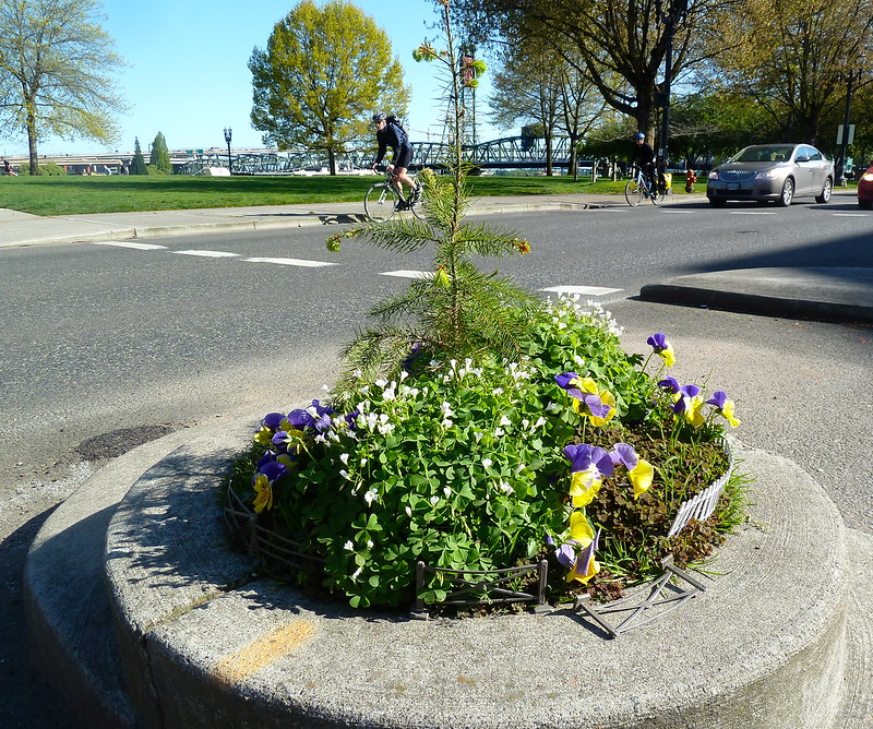 Mills End Park, le plus petit parc du monde Mills End Park le plus petit parc du monde 4 Mills-End-Park-le-plus-petit-parc-du-monde-4