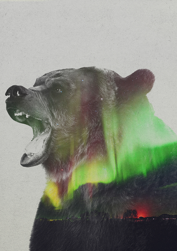 Les photos double exposition animaux-paysages de Andreas Lie photos double exposition animaux paysages de Andreas Lie 13 photos-double-exposition-animaux-paysages-de-Andreas-Lie-13