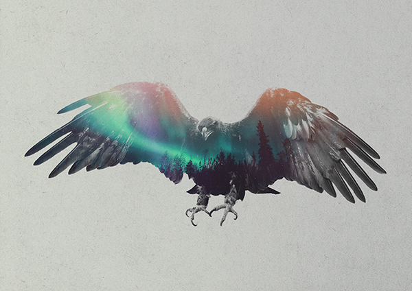 Les photos double exposition animaux-paysages de Andreas Lie photos double exposition animaux paysages de Andreas Lie 15 photos-double-exposition-animaux-paysages-de-Andreas-Lie-15