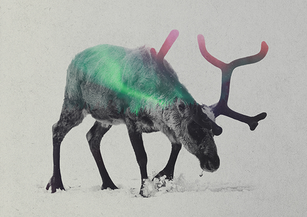 Les photos double exposition animaux-paysages de Andreas Lie photos double exposition animaux paysages de Andreas Lie 19 photos-double-exposition-animaux-paysages-de-Andreas-Lie-19