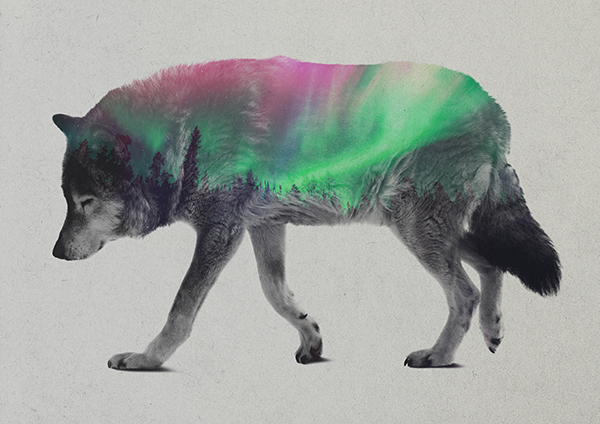 Les photos double exposition animaux-paysages de Andreas Lie photos double exposition animaux paysages de Andreas Lie 20 photos-double-exposition-animaux-paysages-de-Andreas-Lie-20