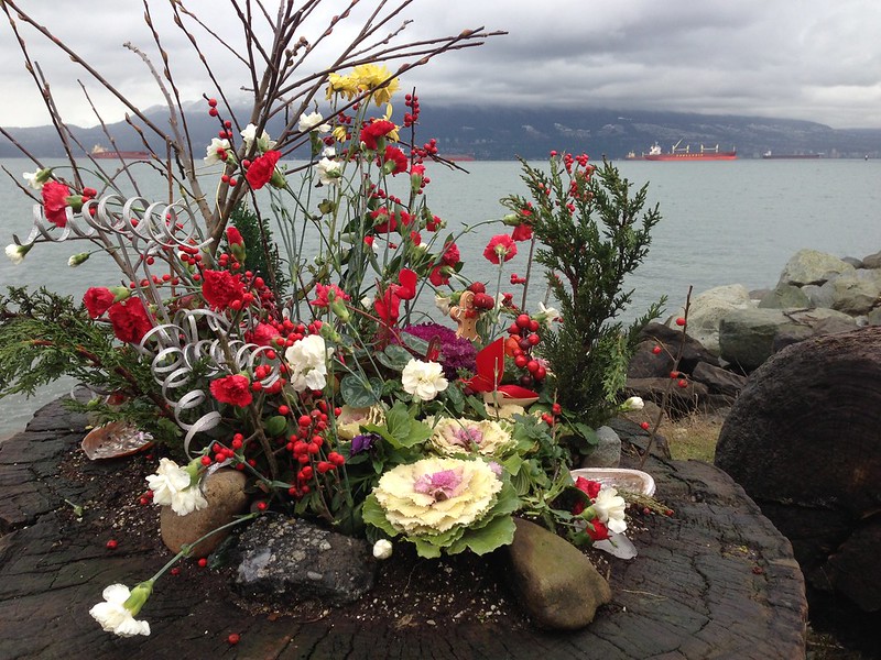 24 souches en pots de fleurs 24 souches en pots de fleurs 15 24-souches-en-pots-de-fleurs-15