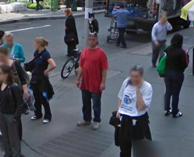 30 photos insolites et marrantes de Google Street View 30 photos insolites et marrantes de Google Street View 10 30-photos-insolites-et-marrantes-de-Google-Street-View-10