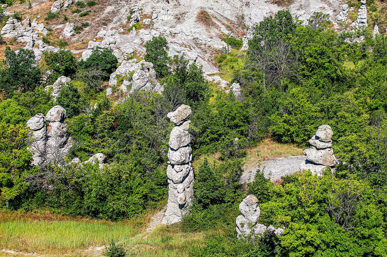 Colonnes isolées et poupées de pierre parmi la végétation de Kuklica Colonnes isolées et poupées de pierre parmi la végétation de Kuklica