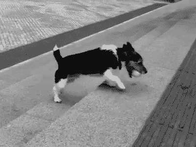 24 GIF en boucle non-stop 24 GIF en boucle non stop infini 7 24-GIF-en-boucle-non-stop-infini-7