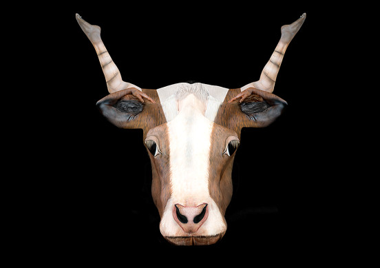 Les signes du zodiaque en body-painting par Trina Merry Les signes du zodiac en body painting par Trina Merry taureau Les-signes-du-zodiac-en-body-painting-par-Trina-Merry-taureau