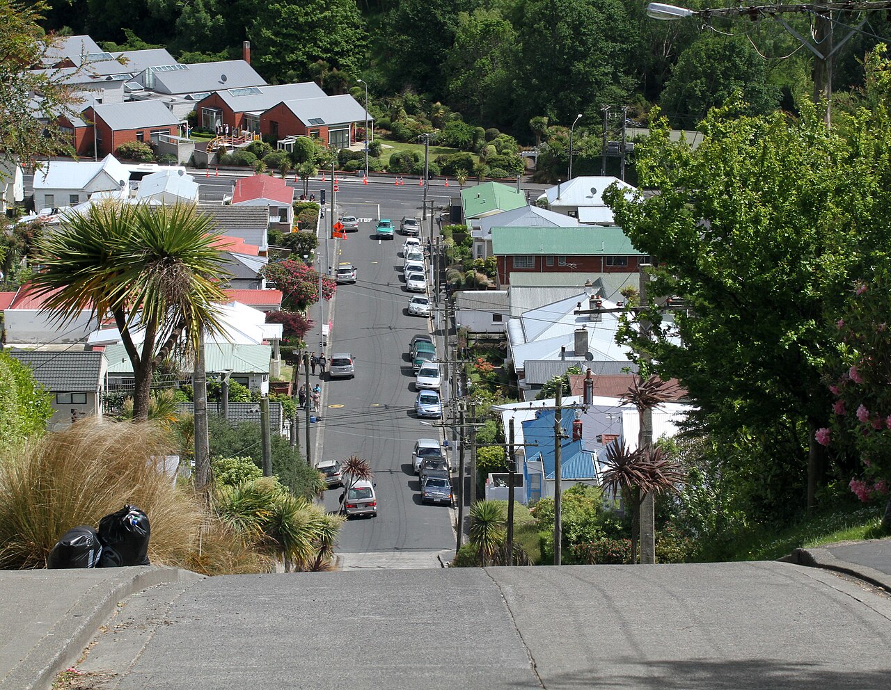 Vue depuis le haut de Baldwin Street à Dunedin Vue vers le bas depuis la partie supérieure de Baldwin Street à Dunedin