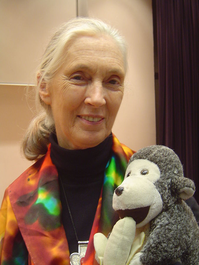30 femmes exceptionnelles qui ont changé le monde 30 femmes exceptionnelles qui ont change le monde 18 30-femmes-exceptionnelles-qui-ont-changé-le-monde-18-Jane Goodall