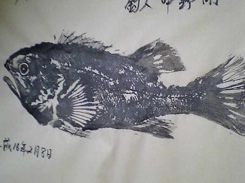 Le Gyotaku, l'art des tableaux par impression de poisson Gyotaku tableaux par impression de poisson 2 Gyotaku-tableaux-par-impression-de-poisson-2