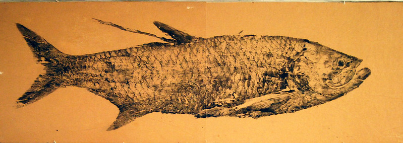 Le Gyotaku, l'art des tableaux par impression de poisson Gyotaku tableaux par impression de poisson 5 Gyotaku-tableaux-par-impression-de-poisson-5