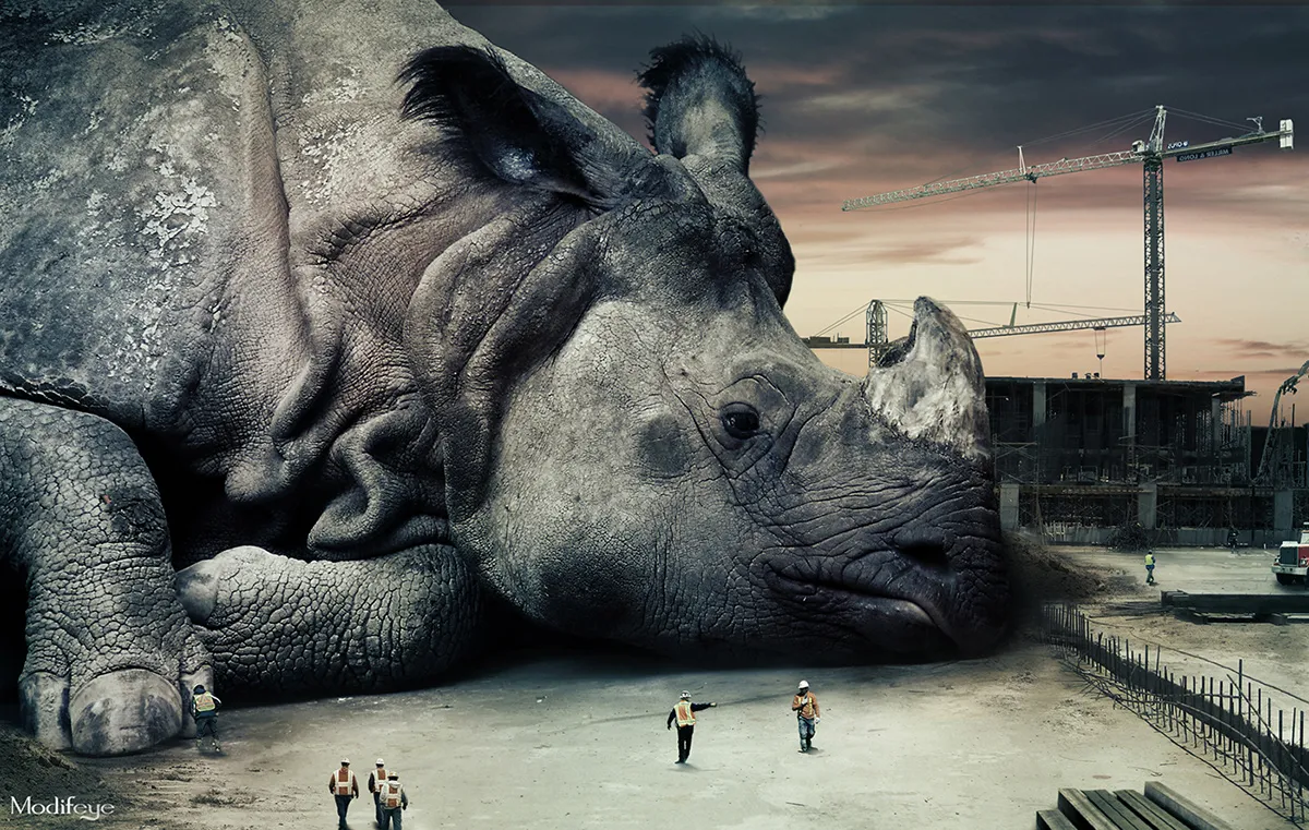 Les images surréalistes de Modifeye Les images surrealistes de Modifeye 11 rhinoceros Les-images-surrealistes-de-Modifeye-11-rhinoceros