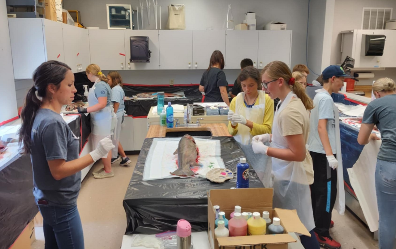 Enfants réalisant des impressions de gyotaku avec une truite arc-en-ciel Enfants réalisant des impressions de gyotaku avec une truite arc-en-ciel