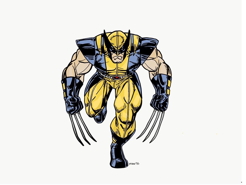 Le cercopithèque de Wolf, le singe Wolverine le singe wolverine le-singe-wolverine