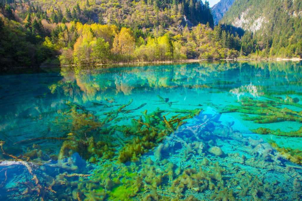 22 raisons de visiter la Chine 22 raisons de visiter la Chine monts vallee de Jiuzhaigou 22-raisons-de-visiter-la-Chine-monts-vallee-de-Jiuzhaigou