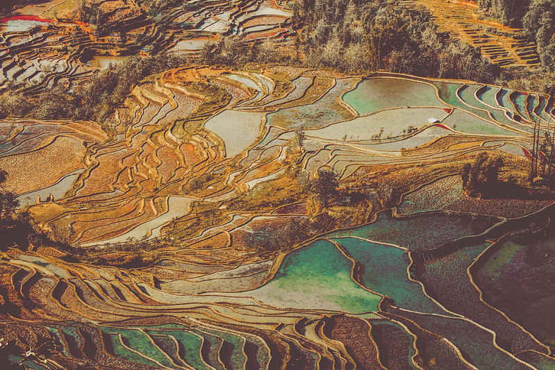 22 raisons de visiter la Chine 22 raisons de visiter la Chine rizieres Yuanyang 22-raisons-de-visiter-la-Chine-rizieres-Yuanyang