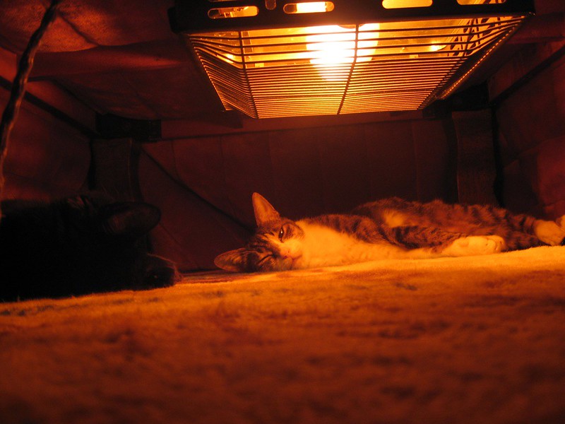 Le kotatsu, design japonais pour ne (presque) jamais quitter son lit Le kotatsu design japonais pour ne jamais quitter son lit 8 Le-kotatsu-design-japonais-pour-ne-jamais-quitter-son-lit-8