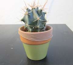 25 idées pour recycler vos collants et bas usagés 25 idees pour recycler vos collants et bas usages 25 25-idees-pour-recycler-vos-collants-et-bas-usages-25