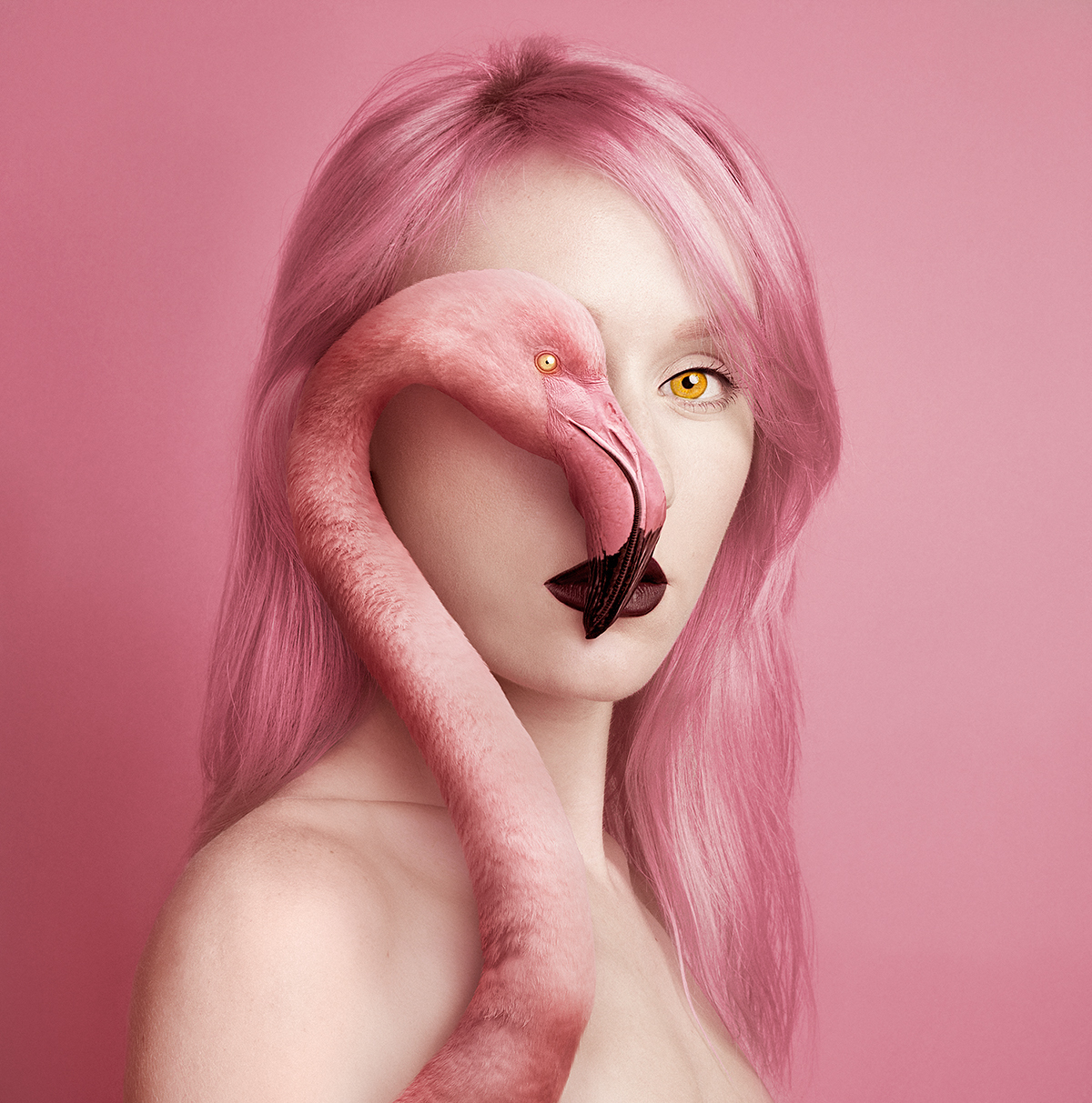 Des auto-portraits avec des yeux d'animaux par Flóra Borsi Des auto portraits avec des yeux d animaux par Flora Borsi 9 Des-auto-portraits-avec-des-yeux-d-animaux-par-Flora-Borsi-9-flamant-rose