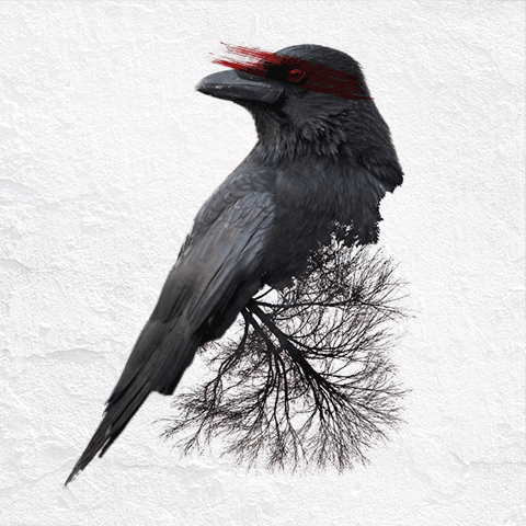 Des GIF d'animaux double exposition pour montrer la destruction de leur habitat par l'homme GIF d animaux double exposition pour montrer la destruction de leur habitat par l homme par Said Dagdeviren 10 GIF-d-animaux-double-exposition-pour-montrer-la-destruction-de-leur-habitat-par-l-homme-par-Said-Dagdeviren-10