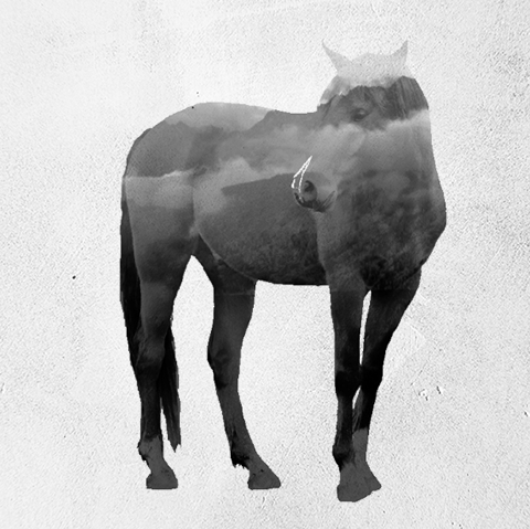 Des GIF d'animaux double exposition pour montrer la destruction de leur habitat par l'homme GIF d animaux double exposition pour montrer la destruction de leur habitat par l homme par Said Dagdeviren 9 GIF-d-animaux-double-exposition-pour-montrer-la-destruction-de-leur-habitat-par-l-homme-par-Said-Dagdeviren-9