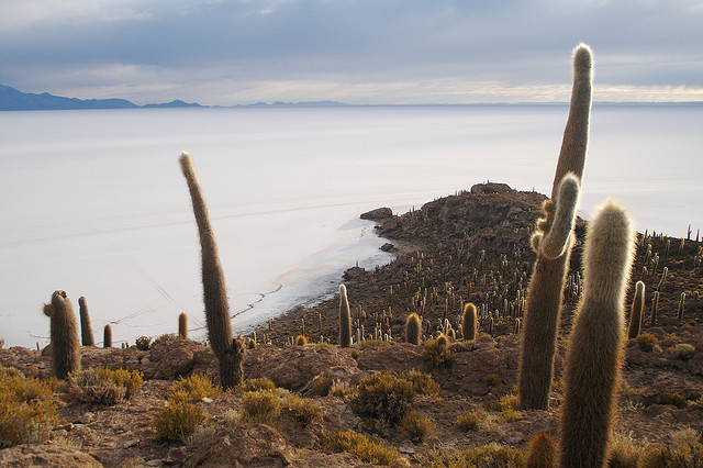 Le Salar de Uyuni - le plus grand désert de sel du monde Le Salar de Uyuni le plus grand desert de sel du monde 7 Le-Salar-de-Uyuni-le-plus-grand-desert-de-sel-du-monde-7