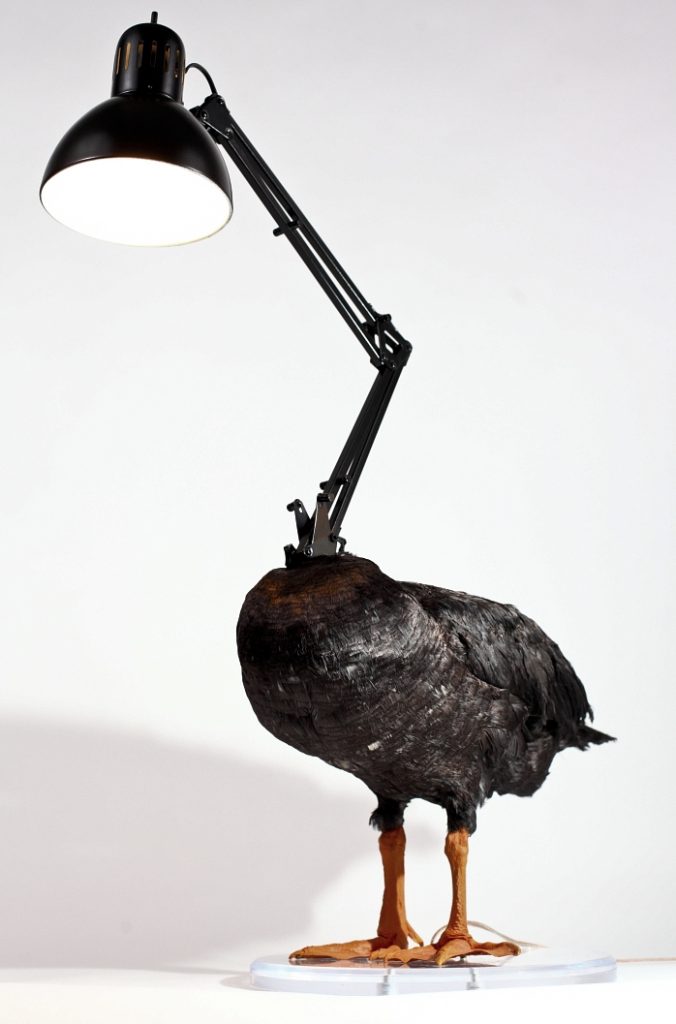 Taxidermie: un canard empaillé en lampe par Sebastian Errazuriz un canard empaille en lampe par Sebastian Errazuriz 2 un-canard-empaille-en-lampe-par-Sebastian-Errazuriz-2