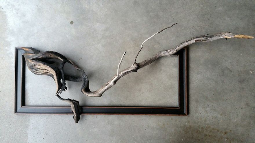 Des branches d'arbres fusionnées à des cadres par Darryl Cox Des branches d arbres fusionnees a des cadres par Darryl Cox 11 Des-branches-d-arbres-fusionnees-a-des-cadres-par-Darryl-Cox-11