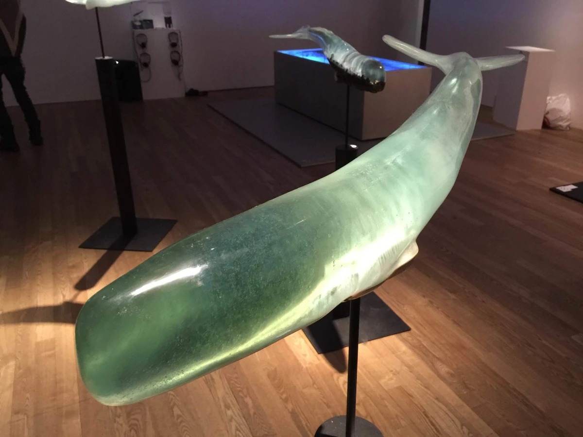 Des épaves dans des baleines pour représenter les 6 royaumes du Bouddhisme Des epaves dans des baleines pour representer les 6 royaumes du Bouddhisme 3 Des-epaves-dans-des-baleines-pour-representer-les-6-royaumes-du-Bouddhisme-3