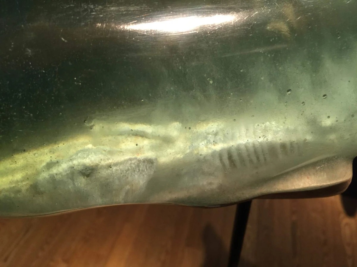 Des épaves dans des baleines pour représenter les 6 royaumes du Bouddhisme Des epaves dans des baleines pour representer les 6 royaumes du Bouddhisme 4 Des-epaves-dans-des-baleines-pour-representer-les-6-royaumes-du-Bouddhisme-4