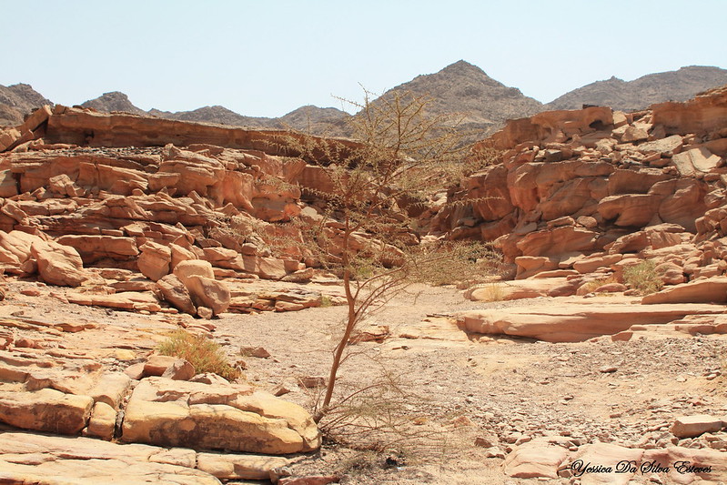 Le canyon coloré de Nuweiba Le canyon colore de Nuweiba 1 Le-canyon-colore-de-Nuweiba-1