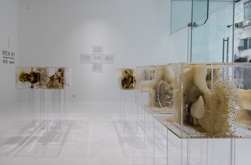 Les sculptures par des abeilles de Ren Ri Les sculptures par des abeilles de Ren Ri 10 Les-sculptures-par-des-abeilles-de-Ren-Ri