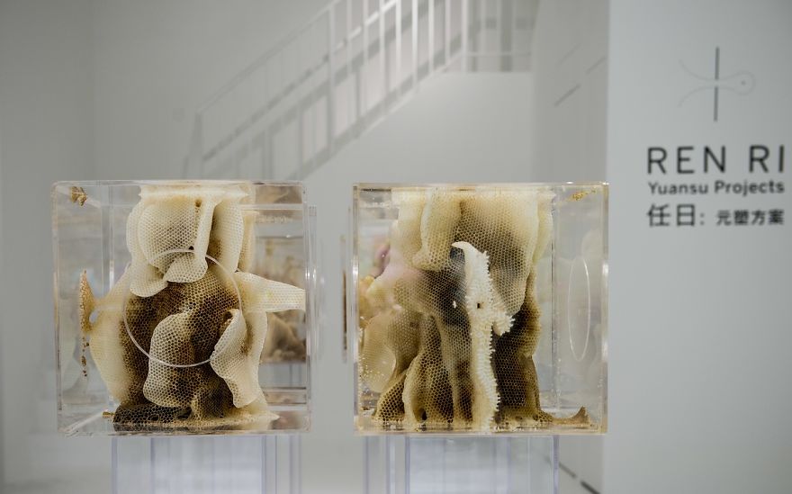 Les sculptures par des abeilles de Ren Ri Les sculptures par des abeilles de Ren Ri 11 Les-sculptures-par-des-abeilles-de-Ren-Ri