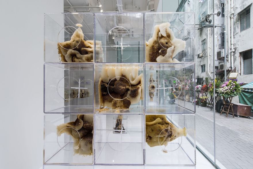 Les sculptures par des abeilles de Ren Ri Les sculptures par des abeilles de Ren Ri 5 Les-sculptures-par-des-abeilles-de-Ren-Ri