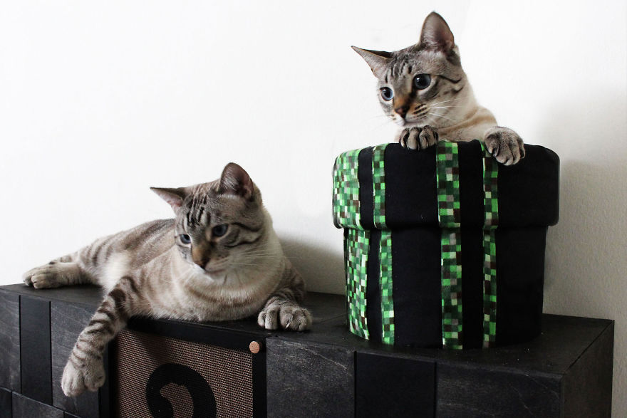 Un mur Super Mario pour chat un mur Super Mario pour chat 2 un-mur-Super-Mario-pour-chat-2