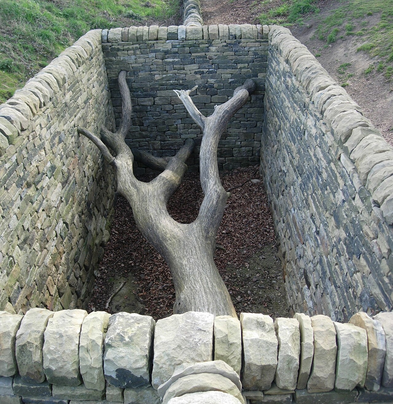 Arbre entouré d’un cercle de pierres dans une installation d’Andy Goldsworthy Arbre entouré d’un cercle de pierres dans une installation d’Andy Goldsworthy