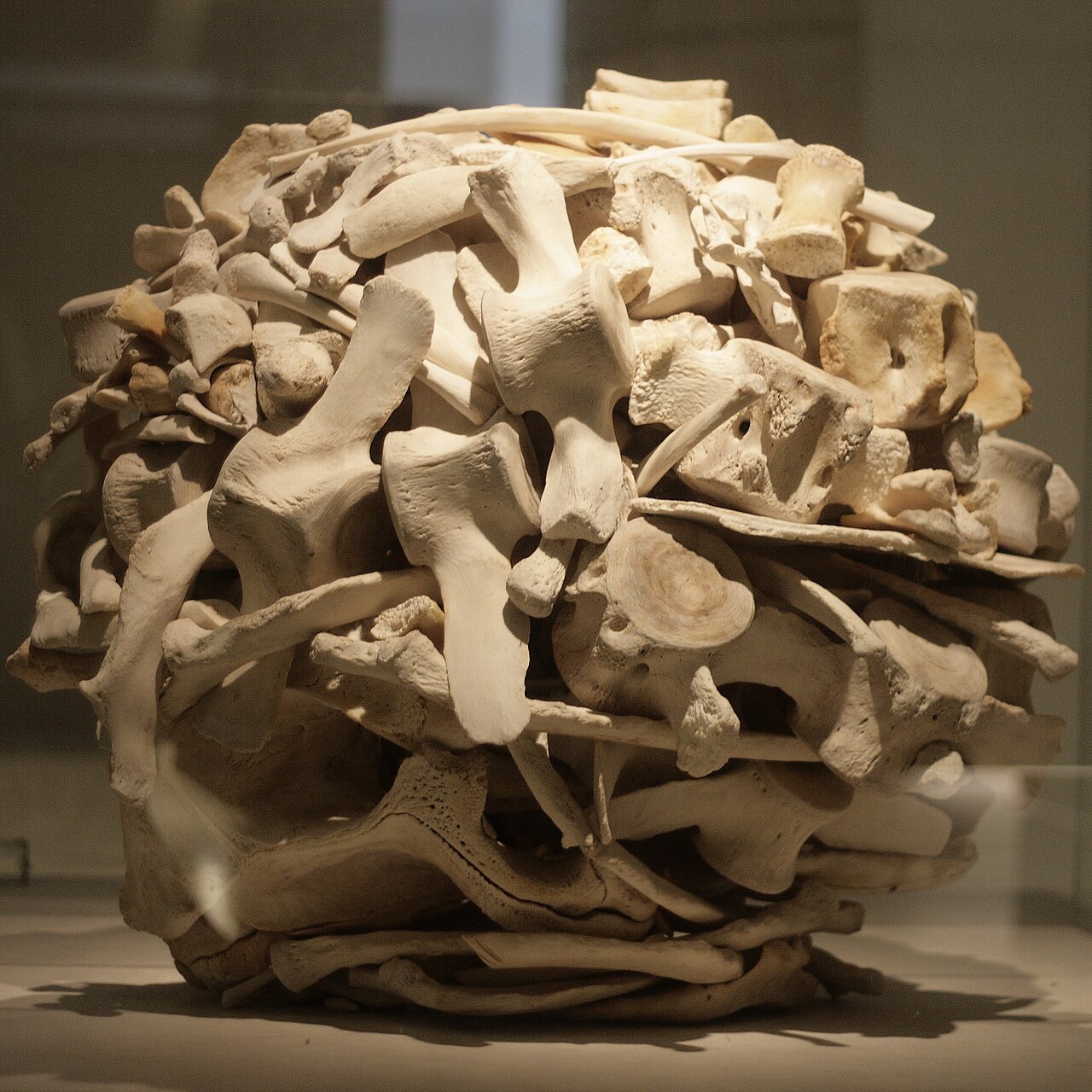 Sculpture d’Andy Goldsworthy présentée au Musée national d’Écosse Sculpture d’Andy Goldsworthy présentée au Musée national d’Écosse