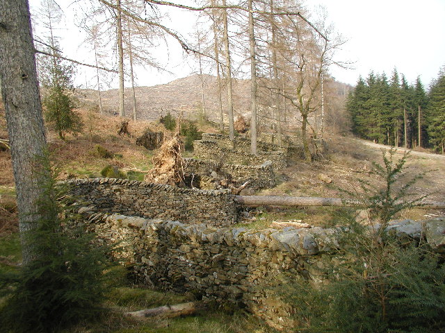 Mur de pierres sèches serpentant dans une forêt, œuvre d’Andy Goldsworthy Mur de pierres sèches serpentant dans une forêt, œuvre d’Andy Goldsworthy