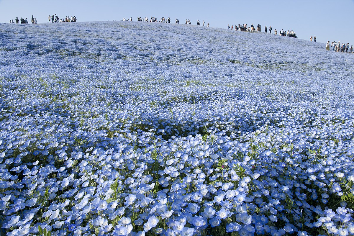 40 paysages de couleur qui démontrent la beauté de la terre 44 paysages de couleur qui demontrent la beaute de la terre zion 44-paysages-de-couleur-qui-demontrent-la-beaute-de-la-terre-zion