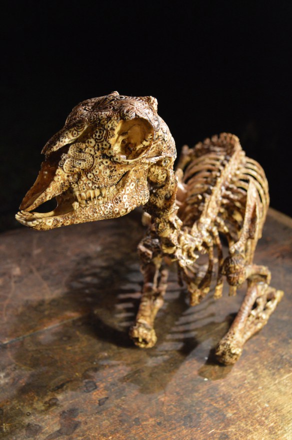 Les gravures d'os de Jason Borders Les gravures d os de Jason Borders 11 Les-gravures-d-os-de-Jason-Borders-11