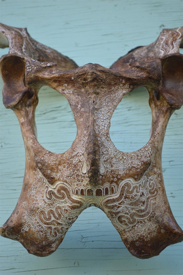 Les gravures d'os de Jason Borders Les gravures d os de Jason Borders 12 Les-gravures-d-os-de-Jason-Borders-12