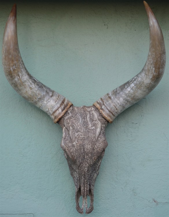 Les gravures d'os de Jason Borders Les gravures d os de Jason Borders 14 Les-gravures-d-os-de-Jason-Borders-14