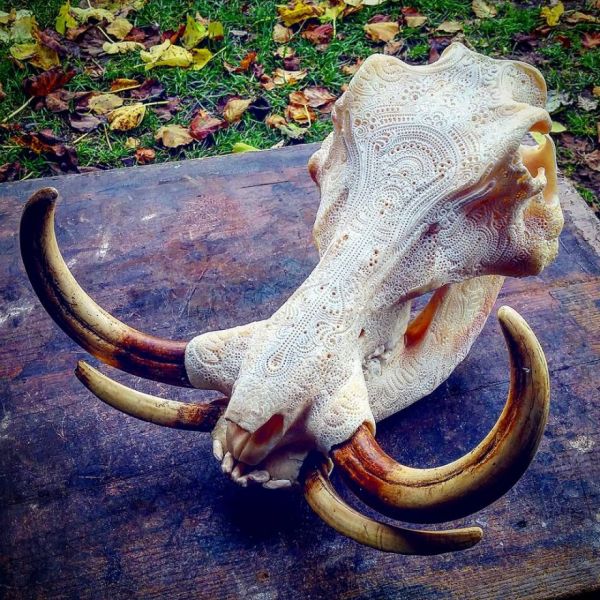 Les gravures d'os de Jason Borders Les gravures d os de Jason Borders 2 Les-gravures-d-os-de-Jason-Borders-2