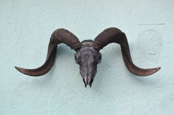 Les gravures d'os de Jason Borders Les gravures d os de Jason Borders 4 Les-gravures-d-os-de-Jason-Borders-4