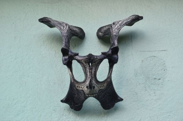 Les gravures d'os de Jason Borders Les gravures d os de Jason Borders 5 Les-gravures-d-os-de-Jason-Borders-5